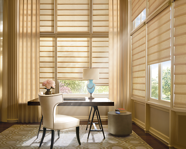 hunter douglas Vignette roman shades
