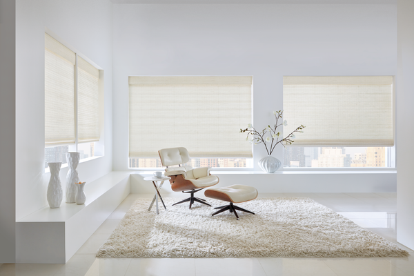woven wood shades for living room