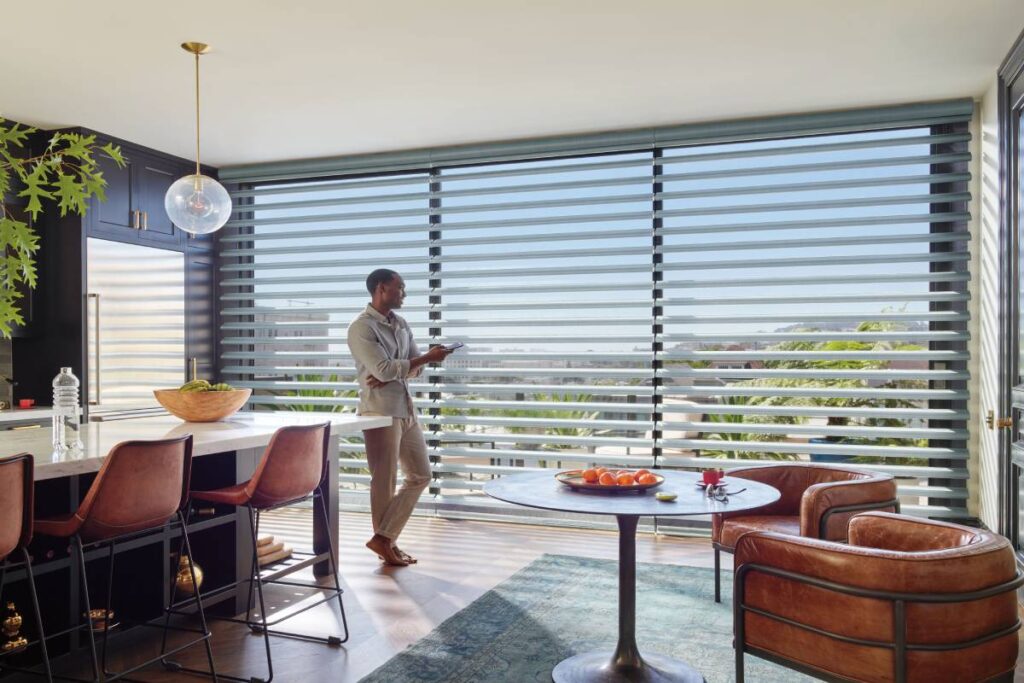 Hunter Douglas PowerView® Automation near Natick, Massachusetts (MA)